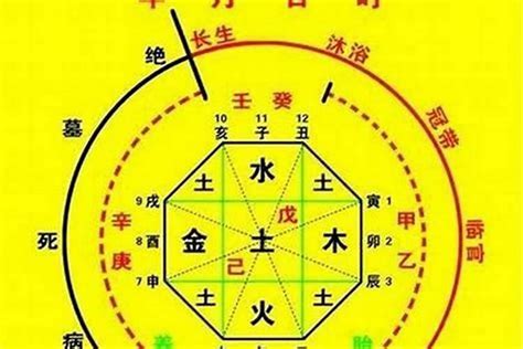 五行忌木|八字五行喜忌查询